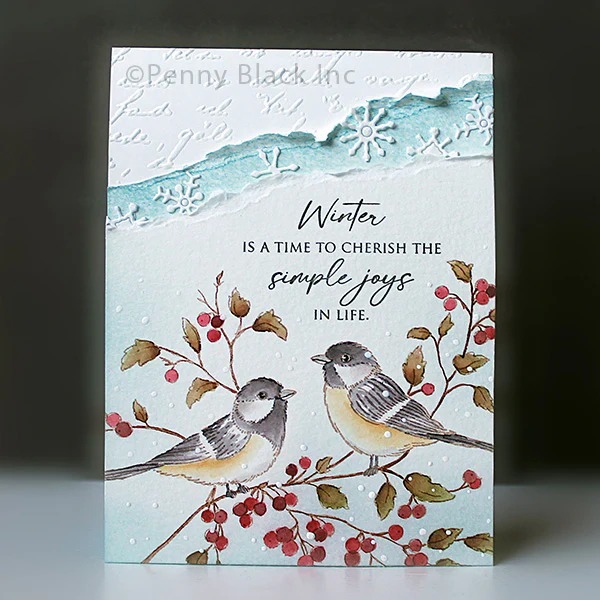 Quiet Beauty heldere siliconen - Clear Silicone Stamps For Card Making recensie en prijs