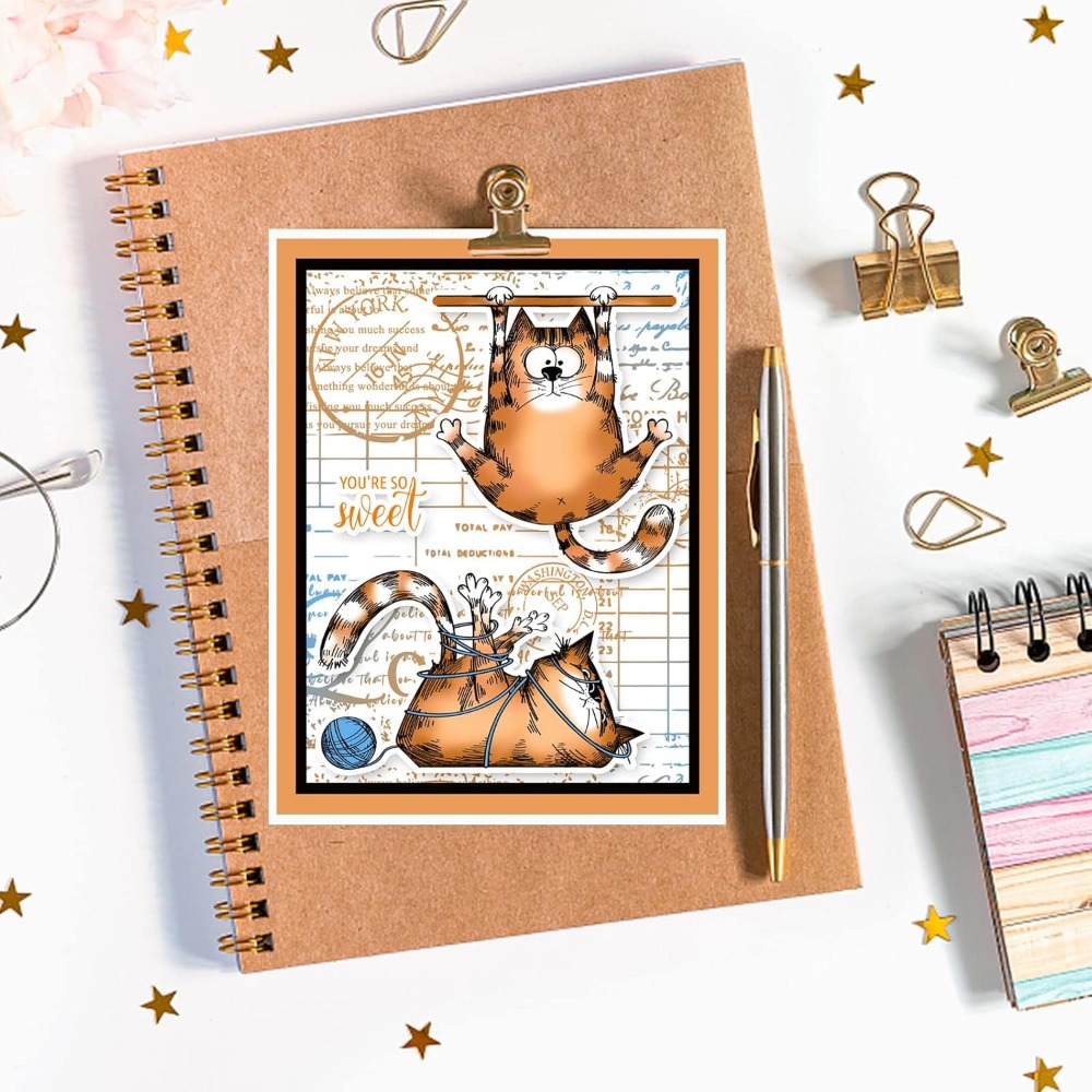 8.3x5.8in Kat Clear Stempels M - Clear Silicone Stamps For Card Making recensie en prijs